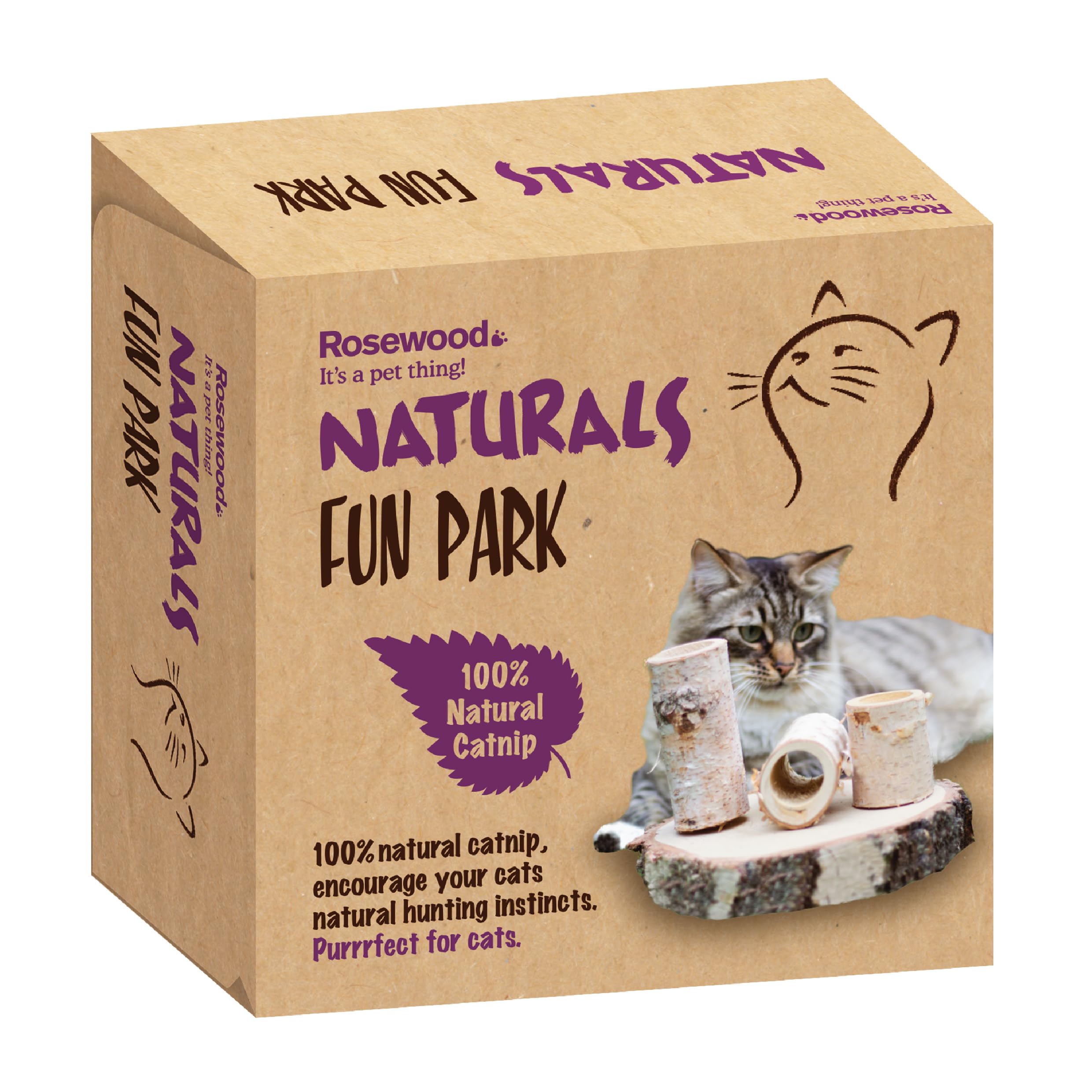 Rosewood Naturals Fun Park for Cats - Interactive Cat Toy with Natural Mini Catnip Balls, Encourages Play, Exercise and Healthy Activity for Indoor Cats, 22 x 15 cm