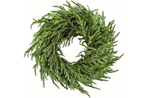 ENVEN 24" Norfolk Pine Wreath for Front Door, Real Touch Norfolk Pine Wreath Artificial Green Wreath Greenery Realistic Wreat