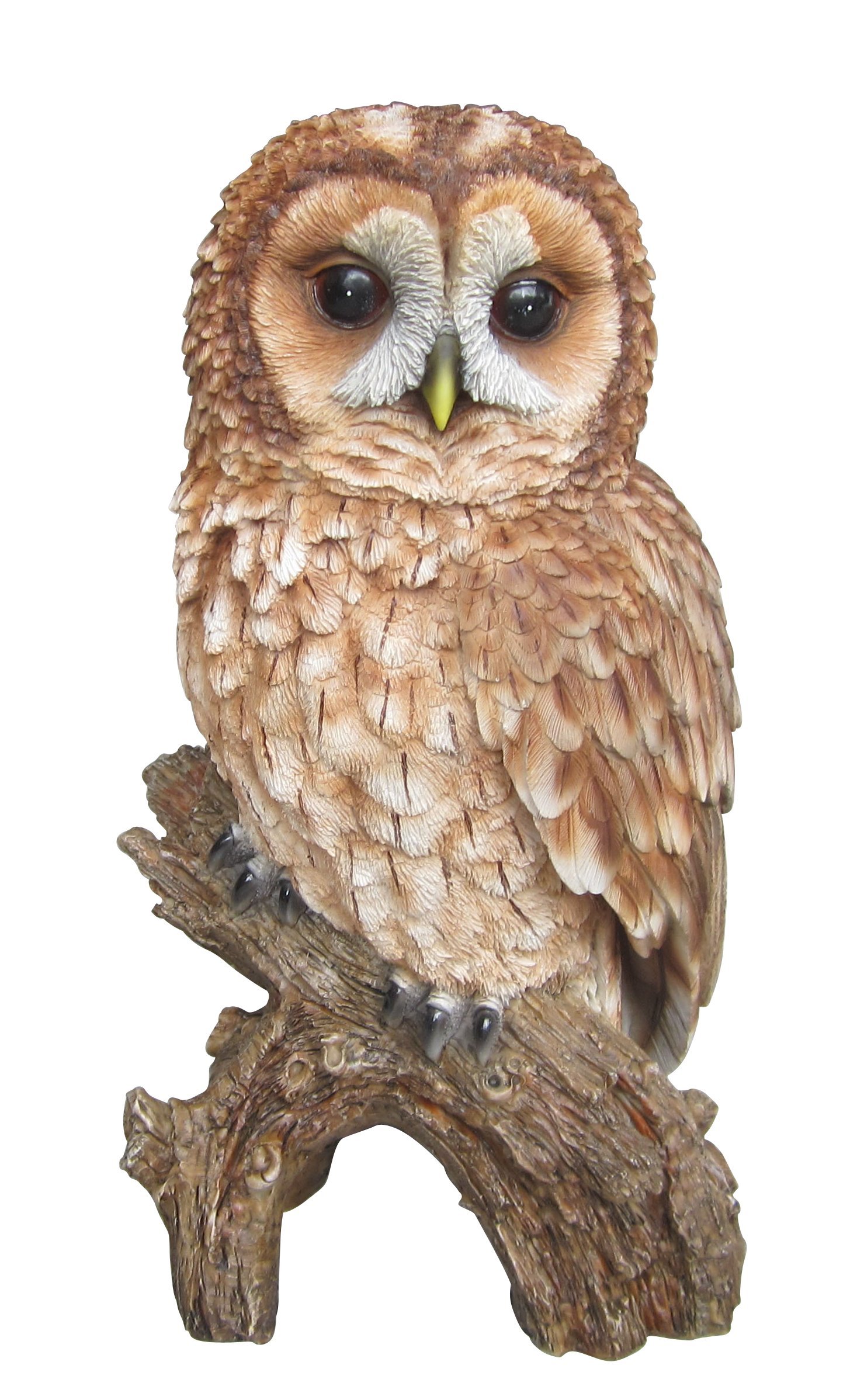 Vivid Arts Plastic Real Life Tawny Owl (Size B)