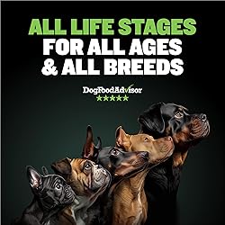 Bully Max 25/11 High Protein & Low Fat Dry Lamb Dog