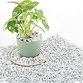 3 Quarts Chunky Perlite for Plant Soil Amendment for Potting Soil, Improves Drainage and Aeration for Soil, Ideal for Succulents, Orchid, Flower Plants (1/4 inch)