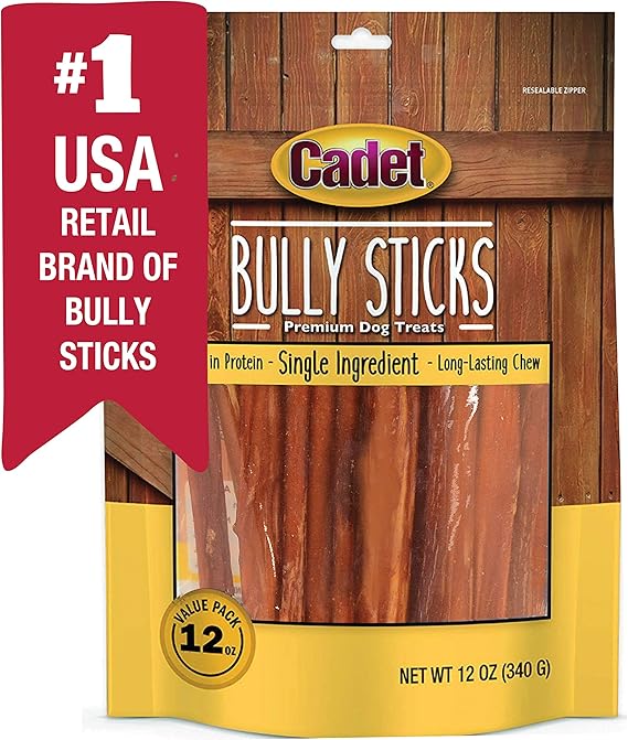 dog bootie for injury