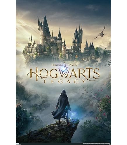 Amazon.com: Trends International Harry Potter: Hogwarts Legacy
