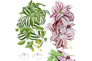QUOZUO 2 Pack Reptile Plants, Artificial Hanging Plants with Suction Cups, Habitat Decor Plastic Vines Decorations for Bearded Dragons Lizards Snake Geckos Frogs -Purple and Green
