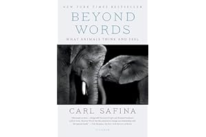 Beyond Words: What Animals Think and Feel