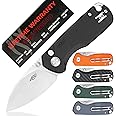 Firebird GANZO FH925-BK Small Pocket Folding Knife Button Lock D2 Steel Blade G10 Anti-Slip Handle with Clip Camping Outdoor EDC Utility Knife Best Gift for Men Women (Black)