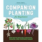 Companion Planting for Beginners: Pair Your Plants for a Bountiful, Chemical-Free Vegetable Garden
