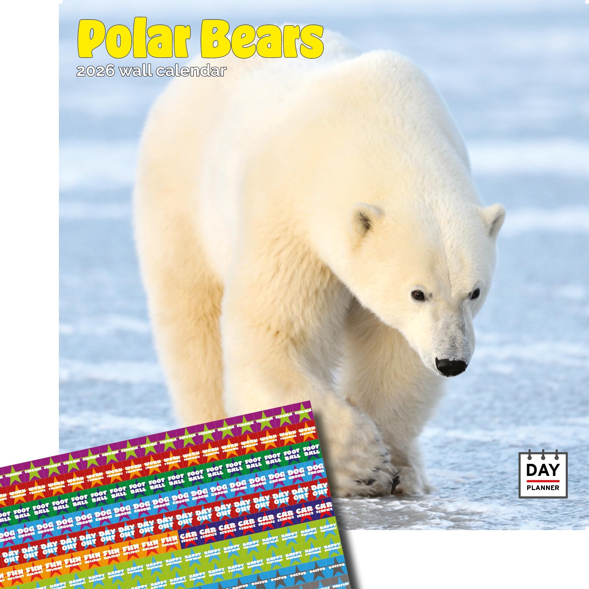 Dayplanner Publishing Polar Bears Calendar 2026, Large Square Wall Calendar With Organisational Stickers, 16 Month, Polar Bears Gift Wildlife Calendar