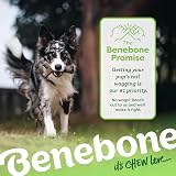 Benebone Indestructible Stick Dog Chew Toy Real Bacon Flavor Small Dogs view 6