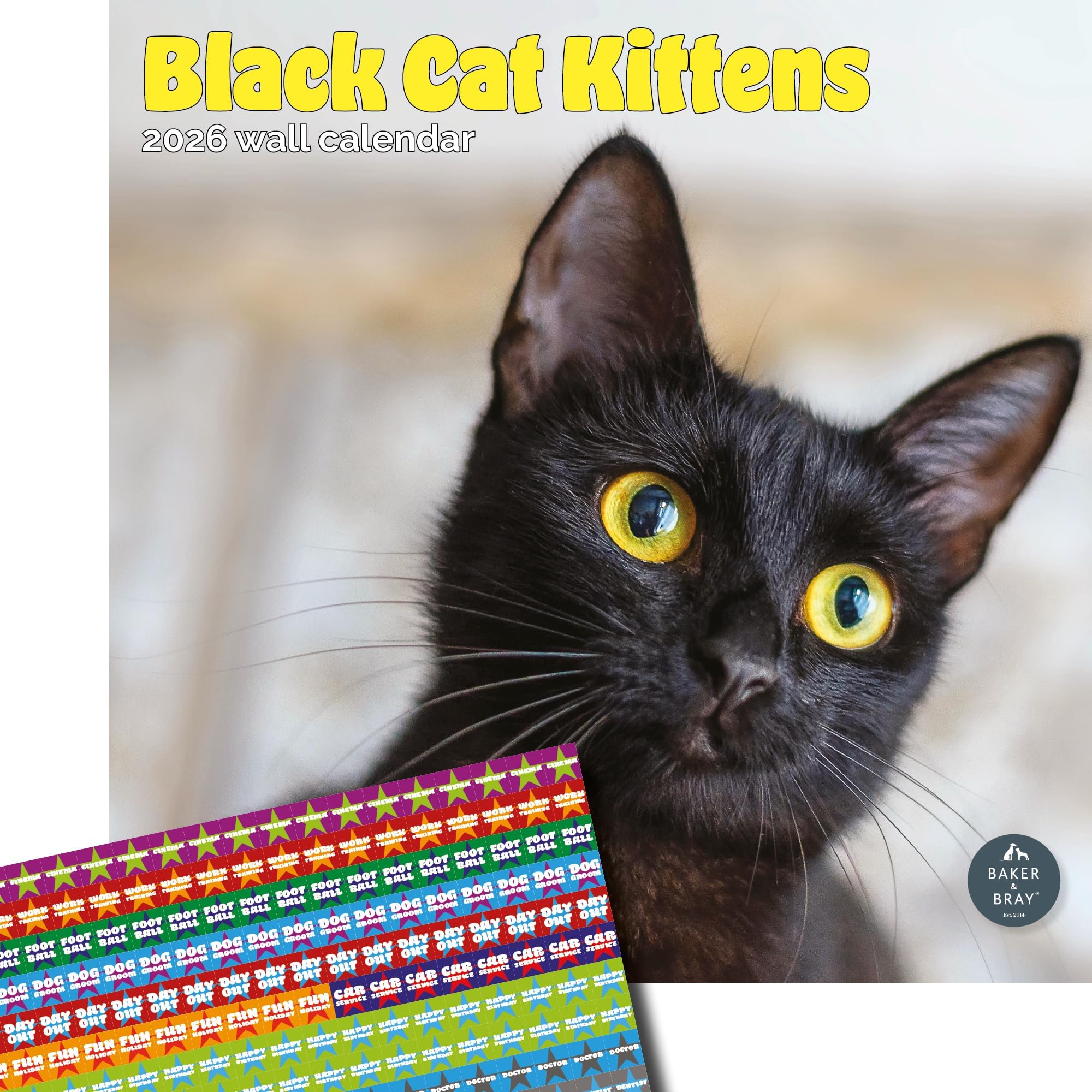 Baker and Bray Black Cat Kittens Calendar 2026, Large Square Wall Calendar With Organisational Stickers, 16 Month, Black Cat Kittens Gift Cat Calendar