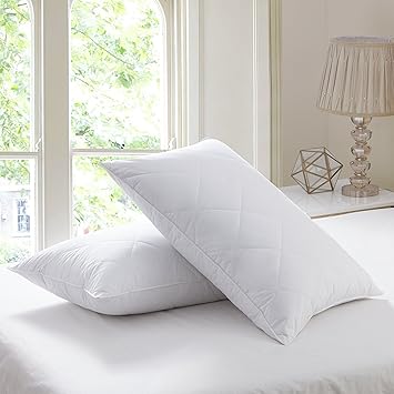 Amazon Com L Lovsoul Set Of 2 Goose Feather Pillows King Size