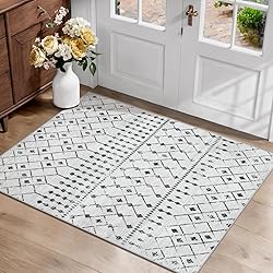 SERISSA 2x3 Washable Small Entry Rug,Soft Non Slip