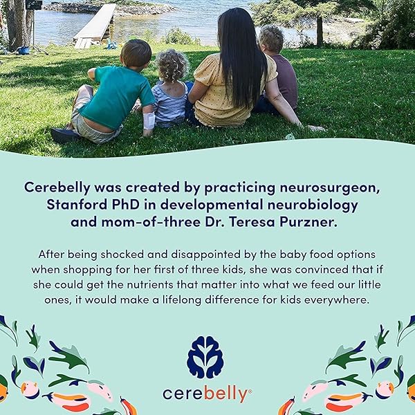 CEREBELLY TODDLER BARS – ORGANIC SWEET POTATO BLUEBERRY BANANA SMART BARS | HEALTHY SNACK FOR KIDS | 16 BRAIN-SUPPORTING NUTRIENTS, GLUTEN FREE, NUT FREE, NO ADDED SUGAR | BABY SNACKS | PACK OF 5