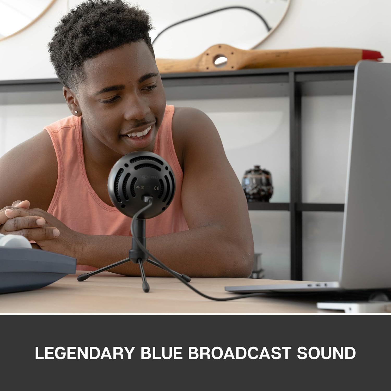 Blue Snowball iCE USB Mic for Recording and Streaming on PC and Mac, Cardioid Condenser Capsule, Adjustable Stand, Plug and Play – Black: Musical Instruments