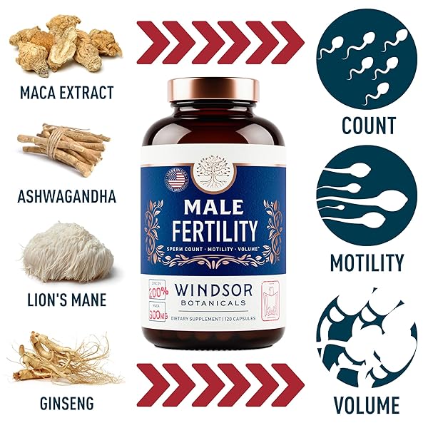 MALE FERTILITY SUPPLEMENT WITH MACA ROOT – MENS HEALTH CONCEPTION FERTILITY PRENATAL VITAMINS PLUS NATURAL EXTRACTS – PRENATAL FERTILITY SUPPLEMENTS FOR MEN – 3RD PARTY TESTED – 120 CAPSULES, 2 MONTH
