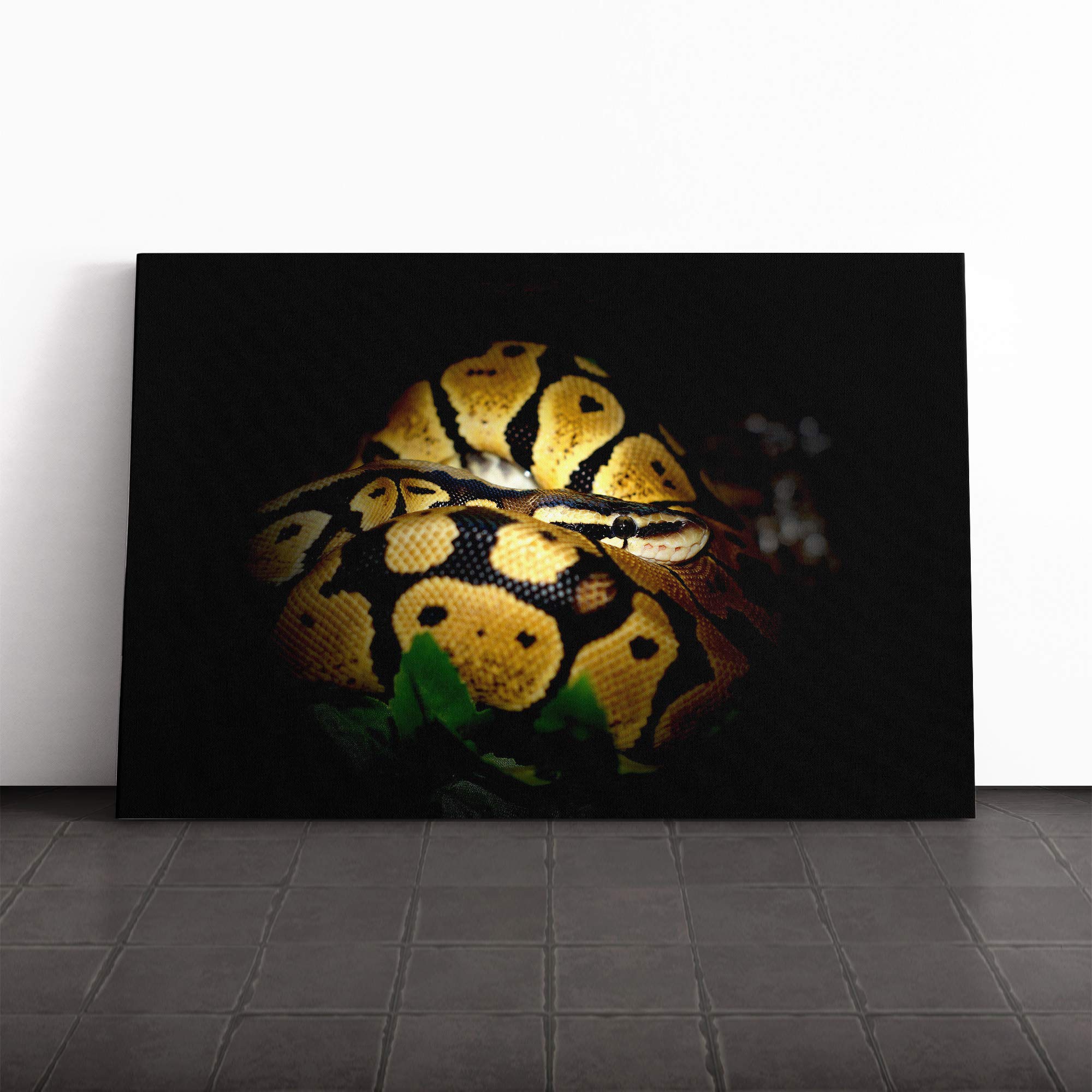 Python Snake Vol.2 Canvas Print | Gallery Wrapped 30mm Frame Wall Art | 20x14 inches | Ready to Hang | Modern Animals Picture | Living Room Bedroom Lounge Office