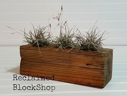 Amazon Com Reclaimed Wood Air Plant Holder Or Kids Marker Pen