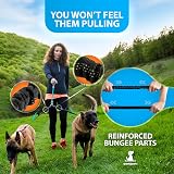 SparklyPets Double Dog Leash for 2 Dogs Teal Medium/Large Meets 360° Rotation view 4