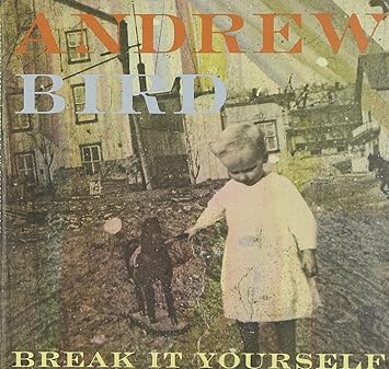 Andrew Bird Break It Yourself Deluxe DVD Edition Amazon Music