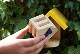 Wildlife World FSC Timber Butterfly Moth Feeder Habitat + Kids Book Magnifier view 5