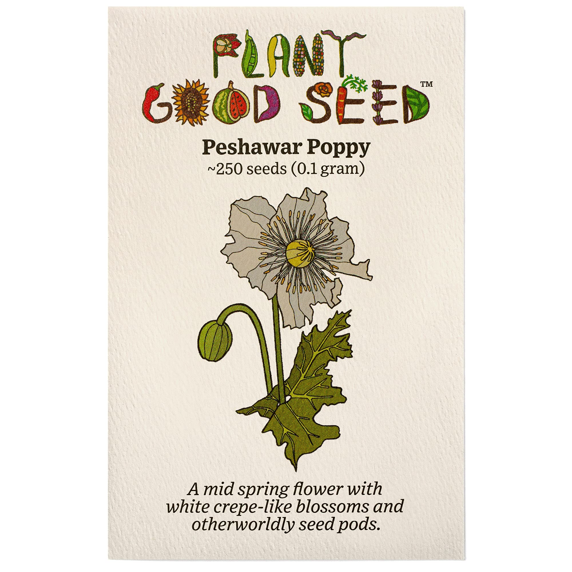 Plant Good Seed Organic Peshawar Poppy Seeds for