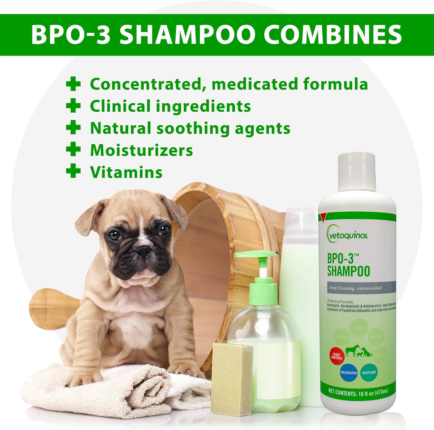 dog shampoo for oily flaky itchy skin