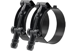 ISPINNER 2 Pack 4 Inch Stainless Steel T-Bolt Hose Clamps, Clamp Range 108-116mm for 4" Hose ID (Black)