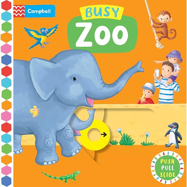 Amazon.com: Busy Zoo (Campbell Busy Books, 60): 9781529084689