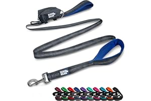 Black Rhino Heavy Duty Dog Leash for Medium and Large Dogs - 6 ft Long Double Handle Leash with Padded Traffic Control Handles and Bag for Comfort - Reflective, Durable, and Weather Resistant (Blue)