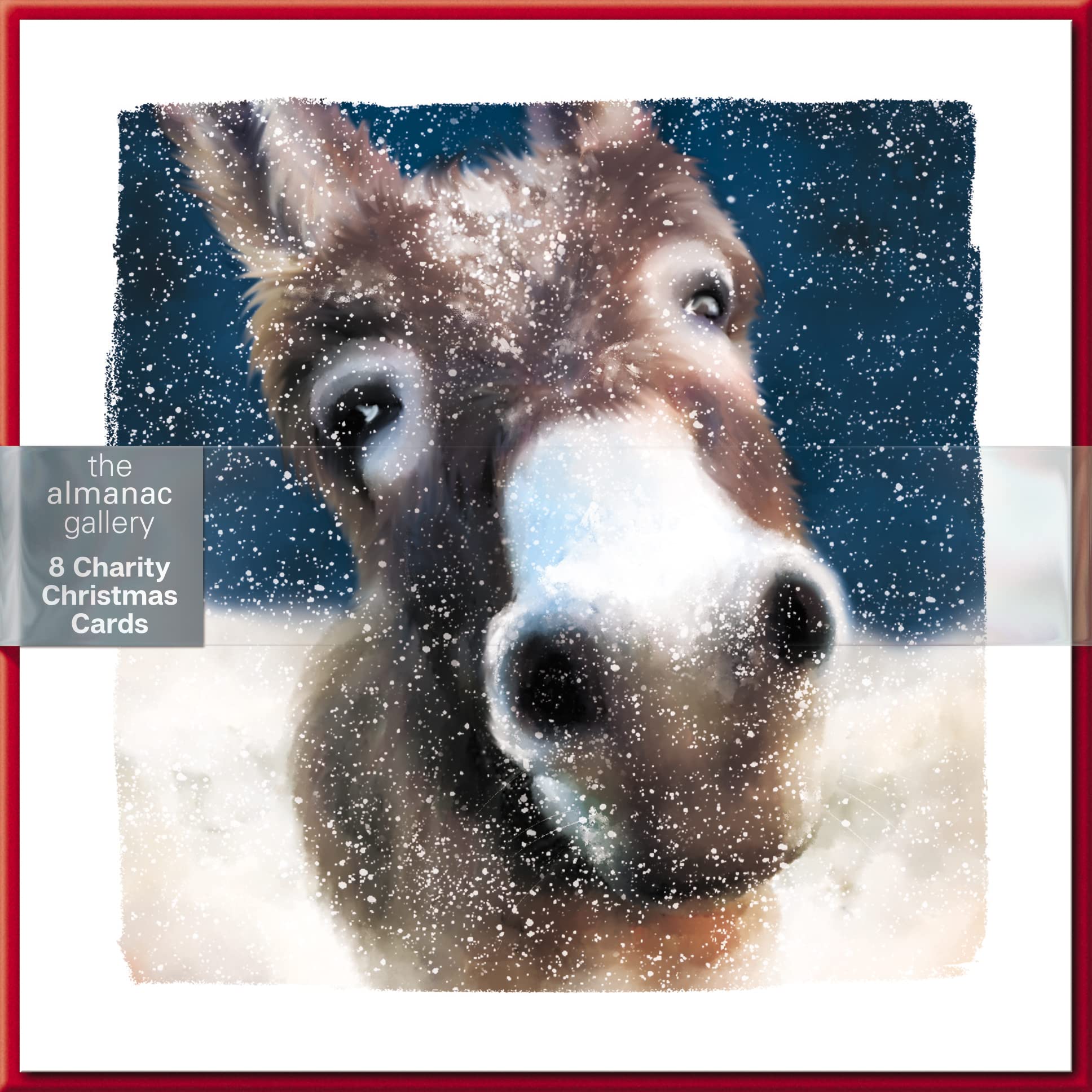 Almanac Pack of 8 A Christmas Donkey Charity Christmas Cards Multiple Charities ALCX9977