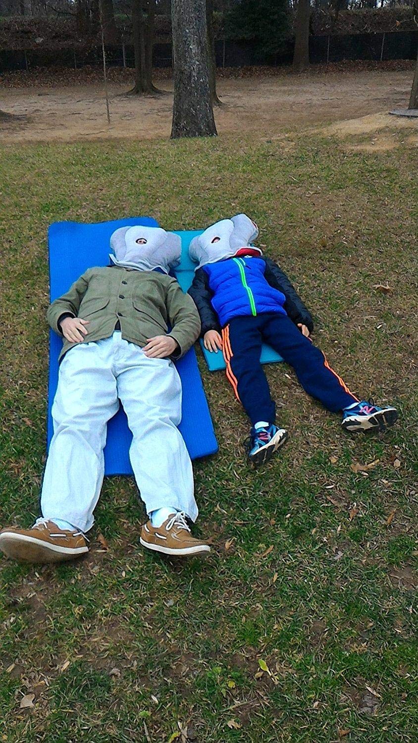 Portable Ostrich Shape Travel Pillow Price In Uae Amazon Ae