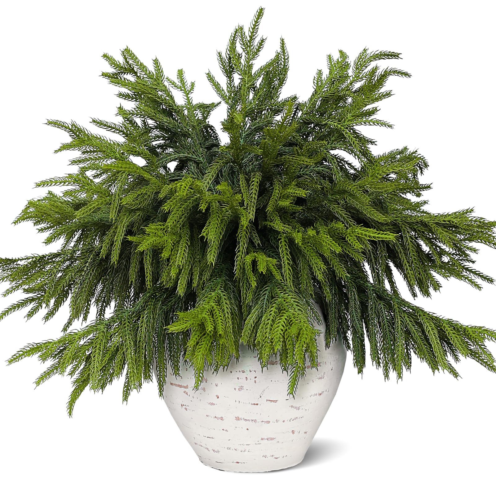 Photo 1 of ***(PARTIAL SET/ MISSING HALF)***Juxdp 20 Pcs Real Touch Norfolk Pine Branches, Artificial Christmas Green Plants Branch Faux Greenery Stem Fake Pine Picks for Vase DIY Crafts Garland Wreath Xmas Indoor Outdoor Decor(18 Inches)