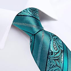DiBanGu Silk Paisley Ties for Men Woven Necktie and