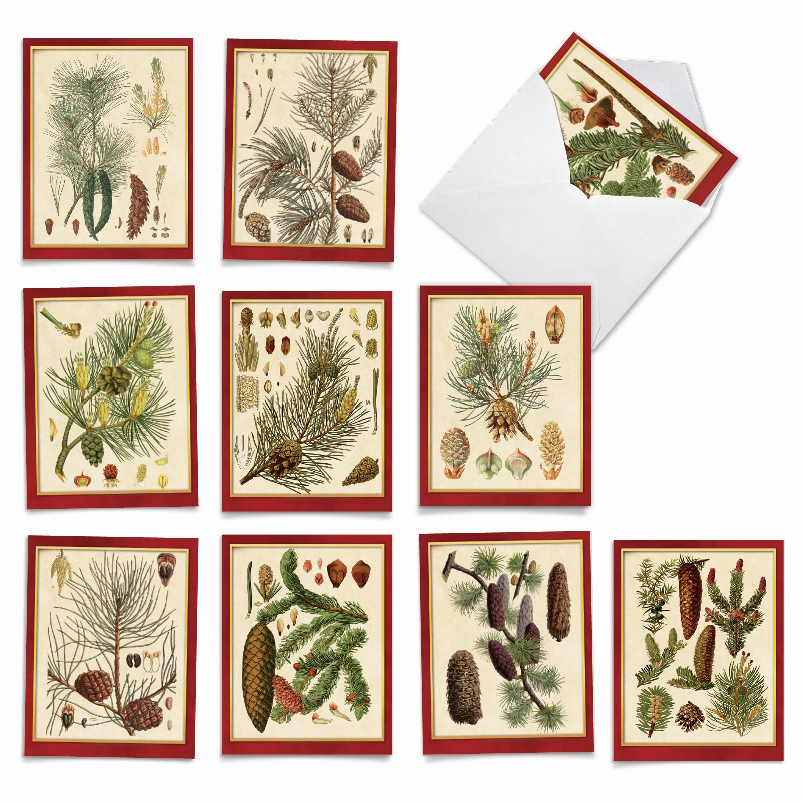 The Best Card Company Variety Pack of 10 Blank Christmas Greeting Cards with Envelopes, Humor Holiday Assortment for Men and Women (10 Designs, 1 Each) - Pining for Christmas M10011XB