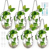Sunnychicc 6 Pcs Wall Hanging Planter Glass Plant Pot Water Terrarium Containers Wall Vases for Flowers Air Hydroponic Propagation Glass Plant Holder Home Room Window Office(Oblate)