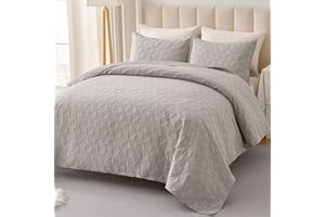 OARAGE Queen Quilt Bedding Set Light Grey Lightweight Quilted Bedspread Full Size with Pinwheel Motif,Soft Microfiber Quilting Coverlet for All Seasons (1 Quilt, 2 Shams)