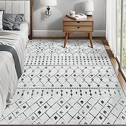 SERISSA Washable Area Rug,3x5 Soft Non Slip Indoor