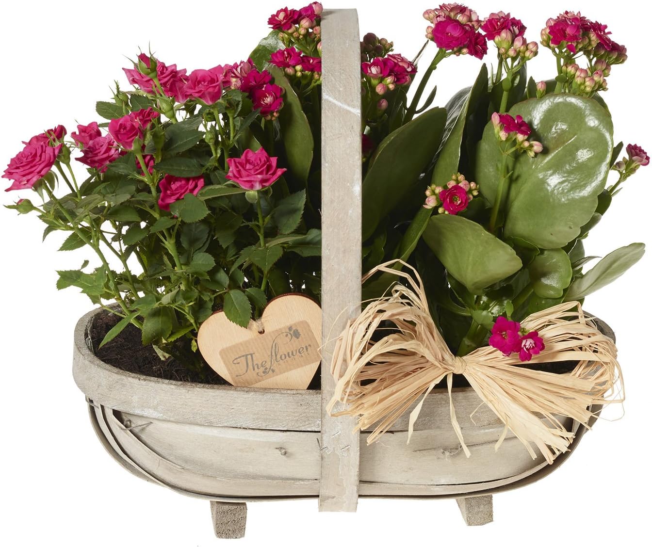 The Flower Rooms - Planted Basket Arrangement - Flowers Gift - Flower Gift Basket - Flower Basket