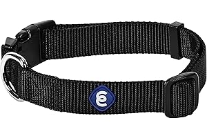 Blueberry Pet Essentials Small Dog Collar - Black Nylon with Quick Release for Small Dogs