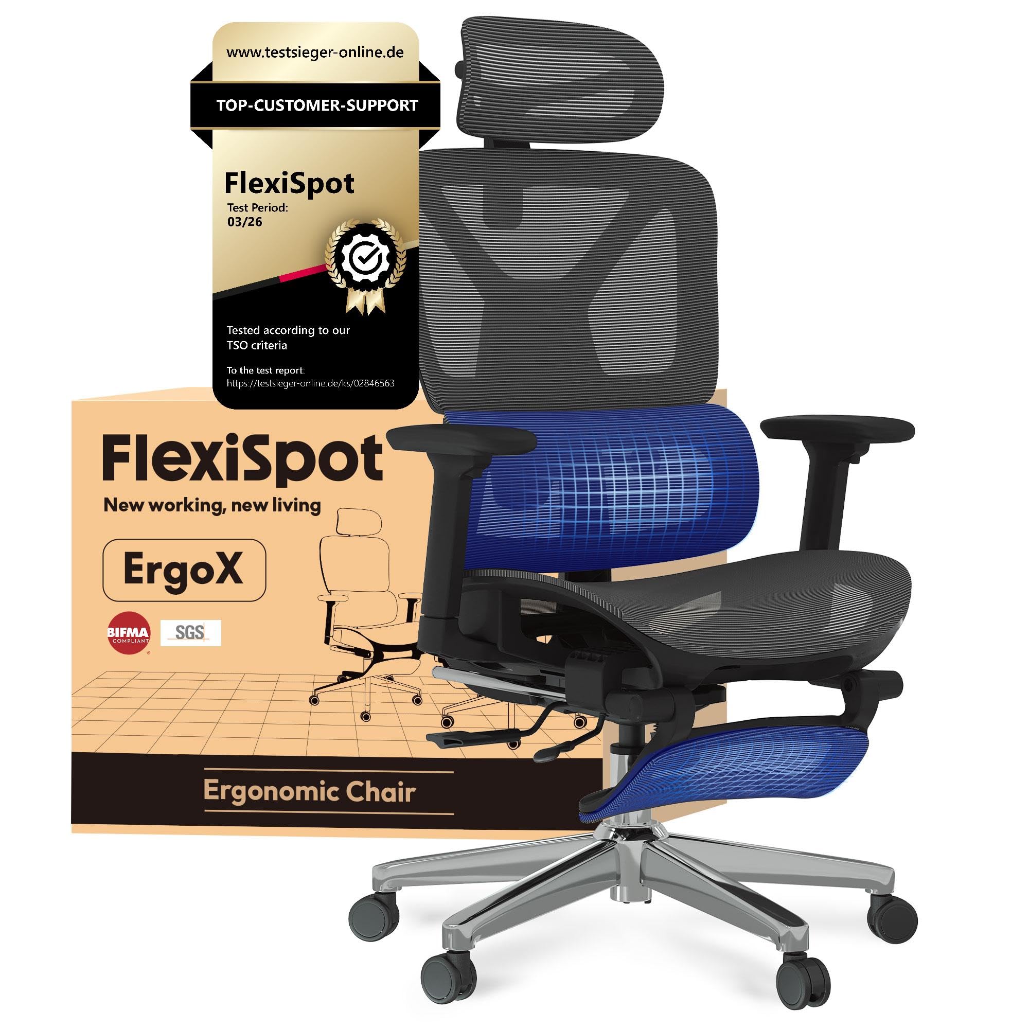 FLEXISPOT Ergonomischer Bürostuhl Schreibtischstuhl mit Fußstütze, 3D-Armlehnen, 3D-Kopfstütze, 5D-Rückenlehne, Atmungsaktiver Sitz Belastbar bis 136 kg Arbeitsstuhl, ErgoX, Dunkelgrau