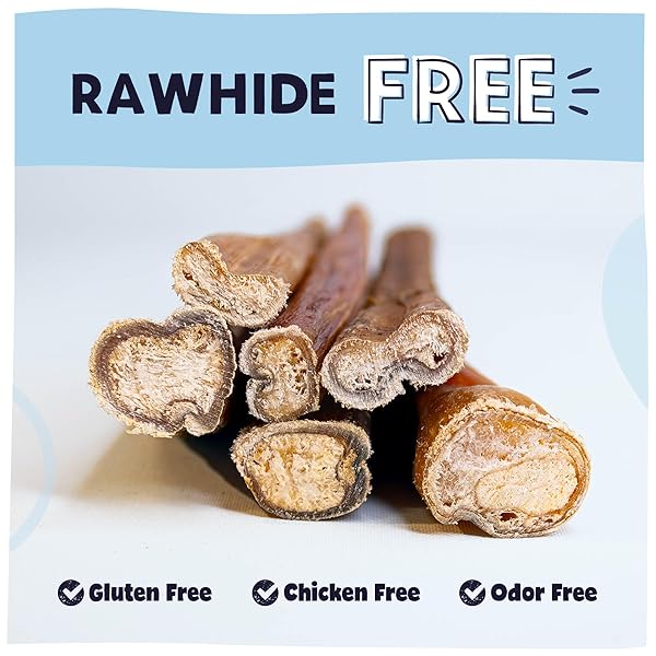 PAWSTRUCK NATURAL 5-8″ BULLY STICKS FOR DOGS – BEST LONG-LASTING, RAWHIDE-FREE, LOW ODOR DENTAL CHEW TREAT – HEALTHY SINGLE INGREDIENT, 100% REAL BEEF – 8 OZ BAG – PACKAGING MAY VARY