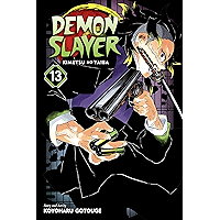Demon Slayer: Kimetsu no Yaiba, Vol. 13: Transitions book cover