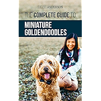 kindle best category lists