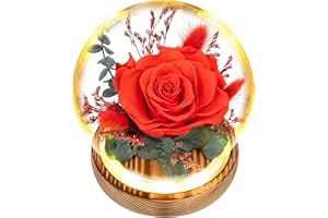 TGELATA Forever Roses Flowers Gifts, Gifts for Mom, Birthday Gifts for Women, Preserved Flowers Fresh Bouquet, Flowers for Delivery Prime, Valentines, Mothers, Christmas, With LED Light Battery Included