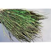 Tigofly 400 Strands Natural Peacock Herl Feather Nymph Fly Tying Materials | For Wet Streamers Flies, Rib Body Tying, Fly Fishing, Length 4"-8"