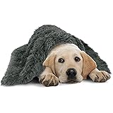 gravity blanket for dogs
