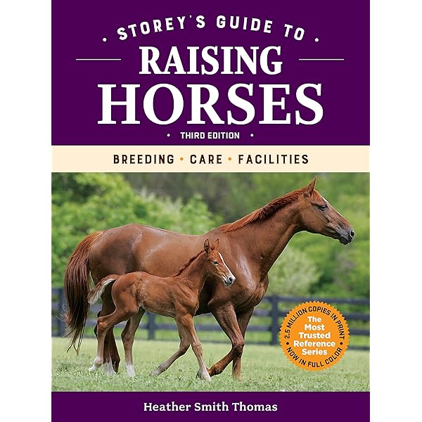 Horse Racing Manual: The in-depth guide to owning, training