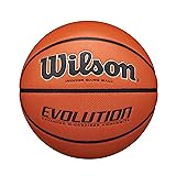 Wilson Evolution Indoor Game