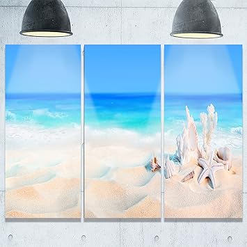 Design Art Muscheln Auf Seashore Strand Und Shore Foto Metall Wand