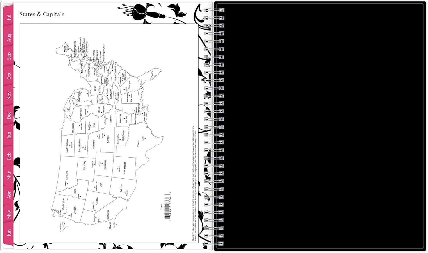 Blue Sky 2020-2021 Academic Year Monthly Planner, Flexible Cover, Twin-Wire Binding, 8" x 10", Analeis : Office Products